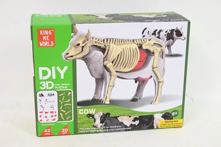 Anatomiczny model krowy dla dzieci