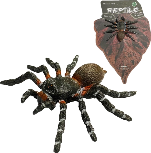 Żywa przyroda: realistyczny model pająka White Knee Spider (8 cm) - 1 sztuka