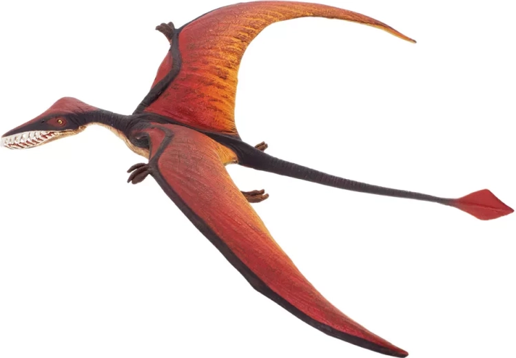 Safari Ltd. ramphorhynchus - 1 szt.