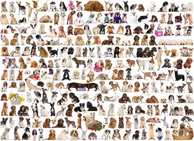 Eurographics puzzle świat psów 1000 elementów