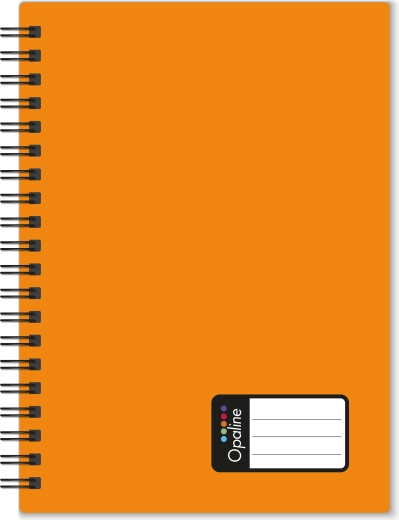 Notatnik A5 z podwójną spiralą Opaline, pomarańczowy