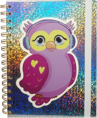 Holograficzny pamiętnik z sową z gumką