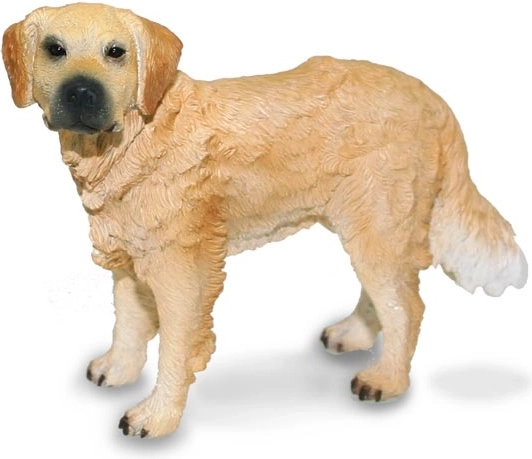 Złoty retriever Collecta