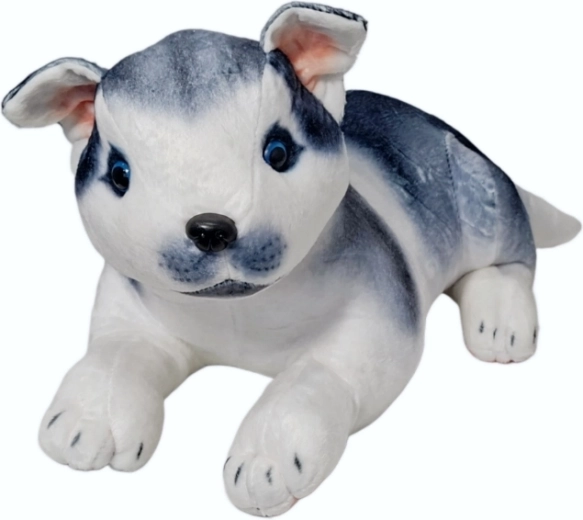 Pluszowy pies husky