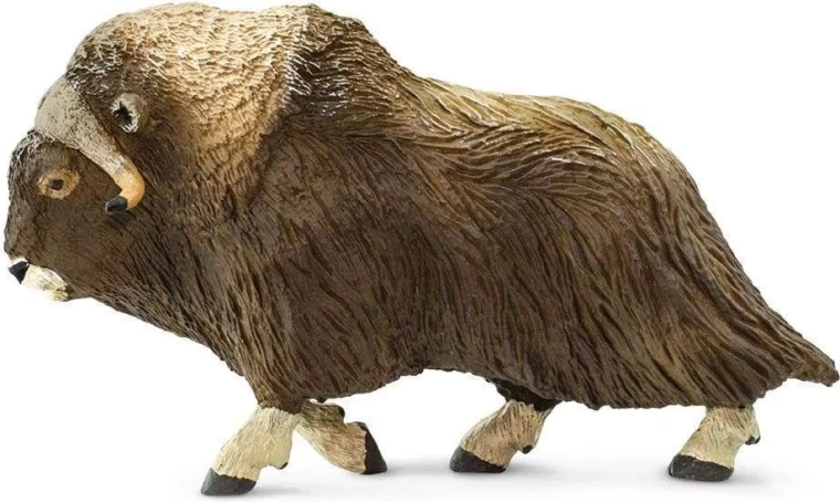 Safari Ltd. piżmoń północny figurka