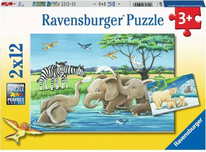 Ravensburger puzzle Młode zwierzęta 2×12 elementów