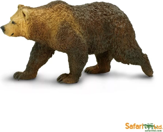 Niedźwiedź grizzly
