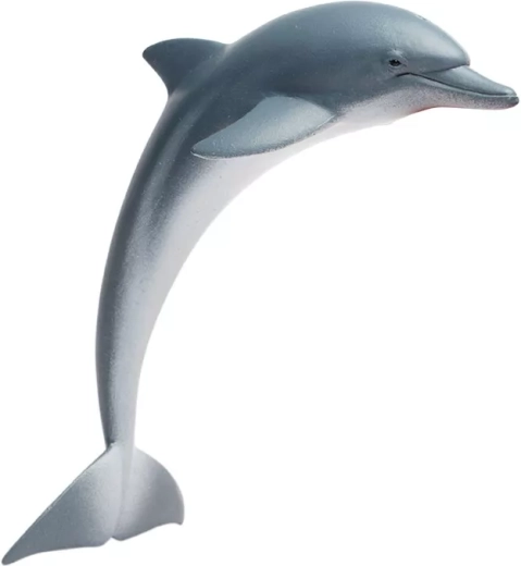 Delfin Safari Ltd. - 1 sztuka