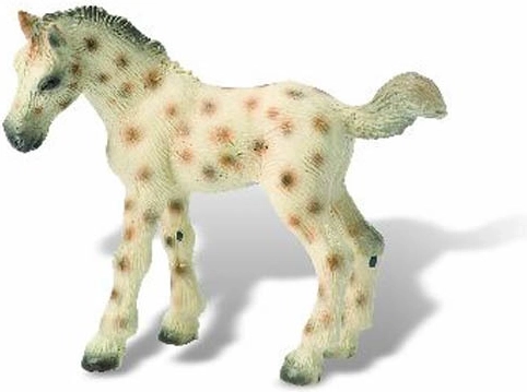 Źrebię knabstruperskie