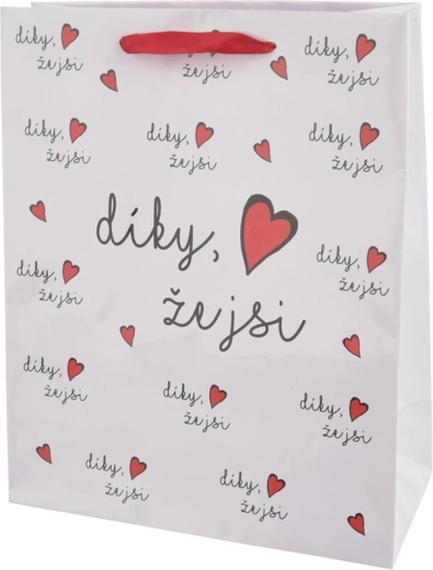 Papierowa torba prezentowa „Dzięki, że jesteś” 26 × 10 × 32 cm