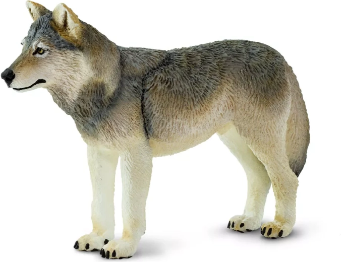Safari Ltd. figurka wilk szary - 1 sztuka