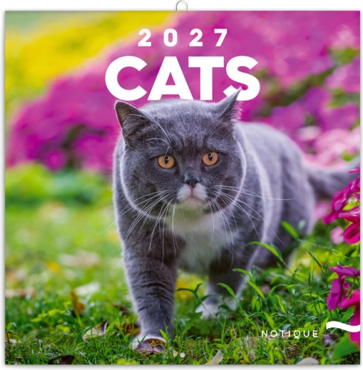 Natique kalendarz ścienny z miejscem na notatki Koty 2027, 30 × 30 cm