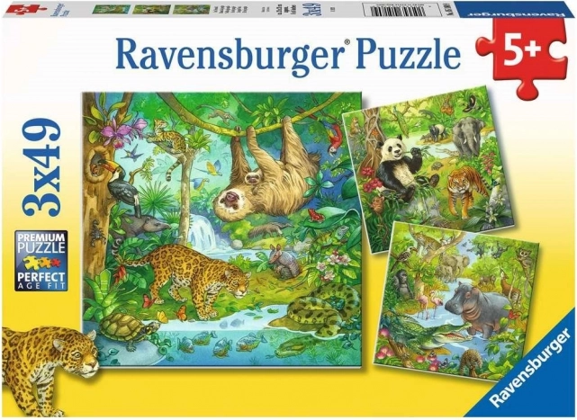 RAVENSBURGER Puzzle Zwierzęta w dżungli 3x49 elementów