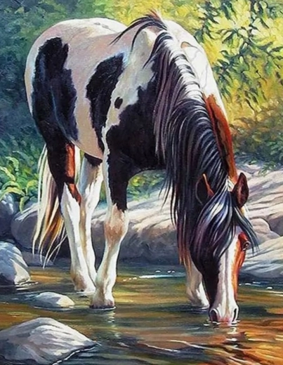 Malowanie po numerach – koń nad rzeką 40 × 50 cm