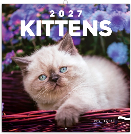 Notatkowy kalendarz ścienny Kocięta 2027, 30 × 30 cm