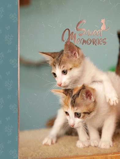 Fotoalbum CONCORDE DXP 4696 na 96 zdjęć 10 × 15 cm