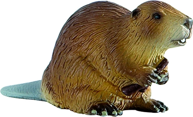 Bóbr