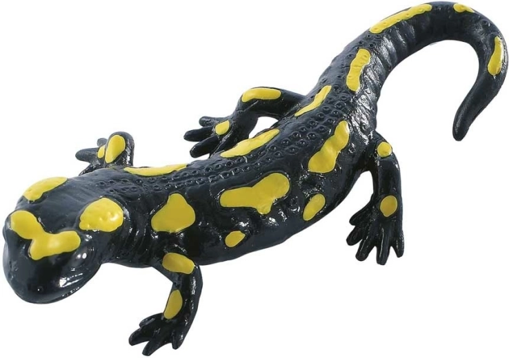 Salamandra plamista