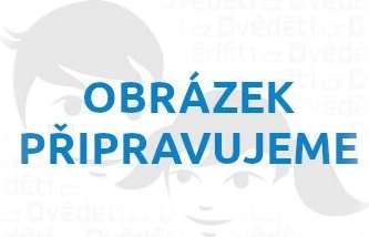 Schylling katalog zabawek 2026 w języku angielskim