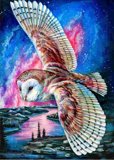 Norimpex malowanie diamentowe Latająca sowa 30 × 40 cm