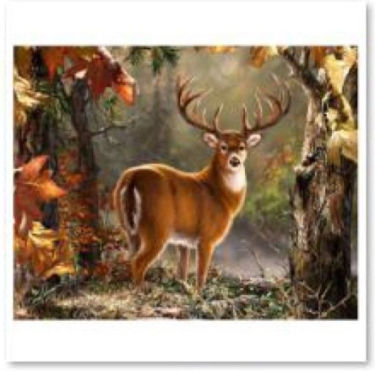 Malowanie diamentowe (diamond painting) – Dostojny jeleń 40 × 30 cm