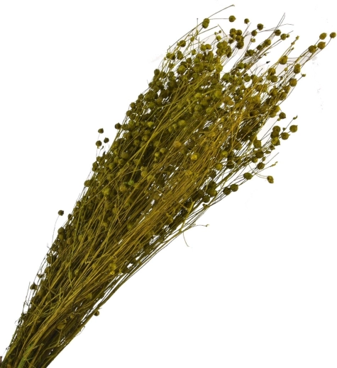 Suszona dekoracyjna trawa zielona 40–70 cm