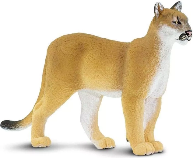 Figurka pumy florydzkiej Safari Ltd. – 1 szt.