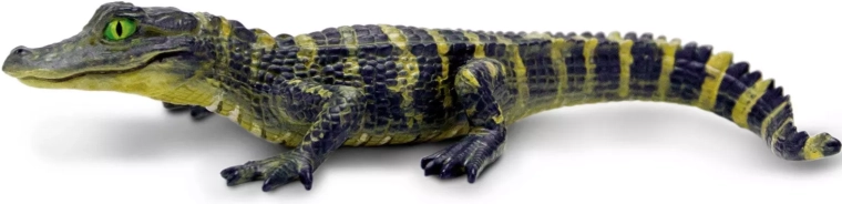 Safari Ltd. figurka młodego aligatora