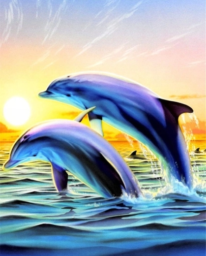 Norimpex Malowanie po numerach Skaczące delfiny 40 × 50 cm