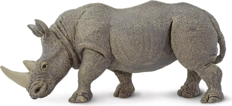 Nosorożec biały Safari Ltd.
