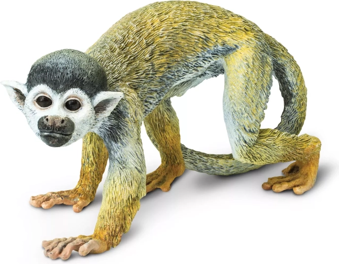 Safari Ltd. kotul wiewiórkowaty - 1 szt.