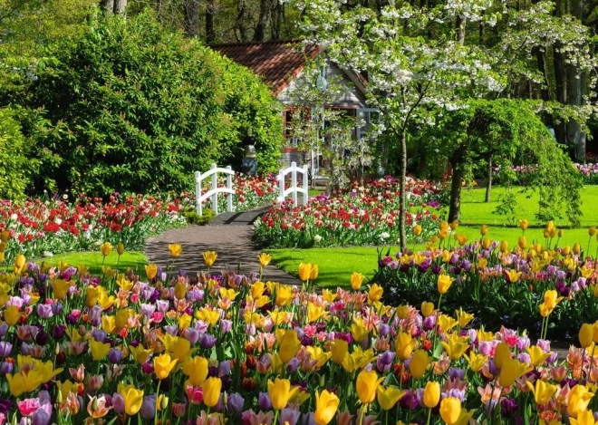 Puzzle 1000 elementów RAVENSBURGER – Piękne ogrody Keukenhof, Niderlandy