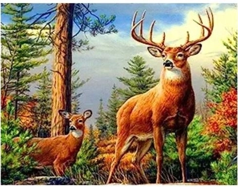 Norimpex haft diamentowy Jeleń w górach 30 × 40 cm