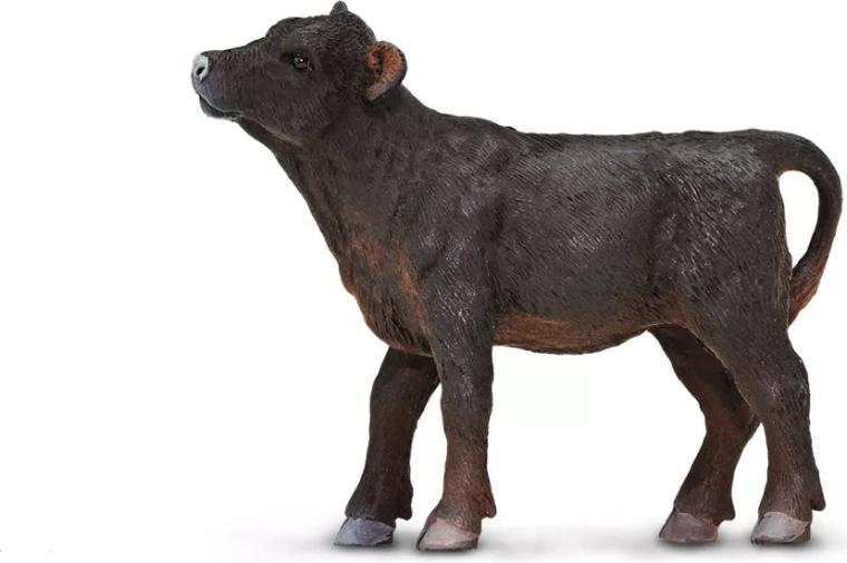 Safari Ltd. cielę rasy Angus - 1 szt.
