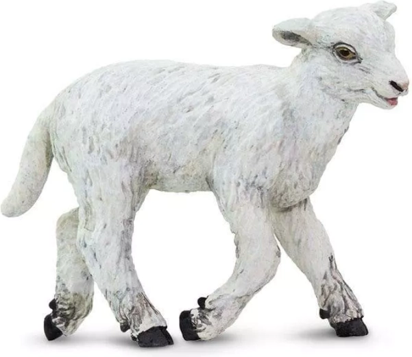 Safari Ltd. figurka owcy domowej - 1 sztuka