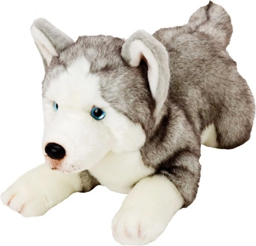 Pluszowy pies Husky