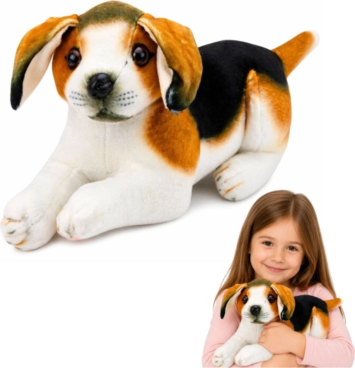 Pluszowy piesek beagle 25 cm