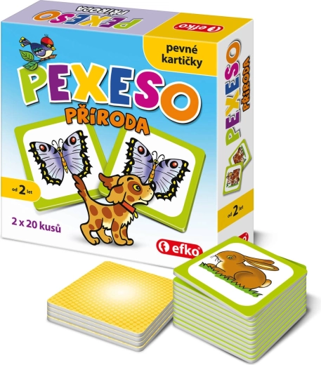 Efko baby pexeso – środki transportu