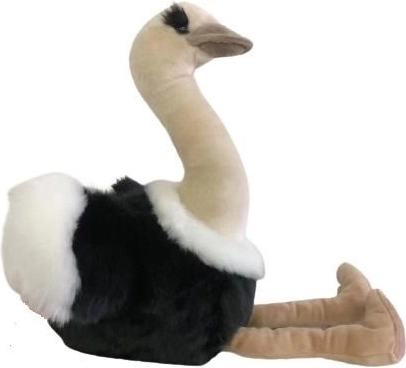 Pluszowy struś 36 cm z zawieszką