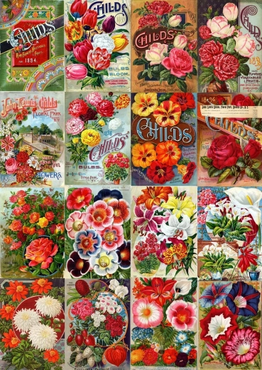Enjoy puzzle vintage katalog nasion kwiatów 1000 elementów