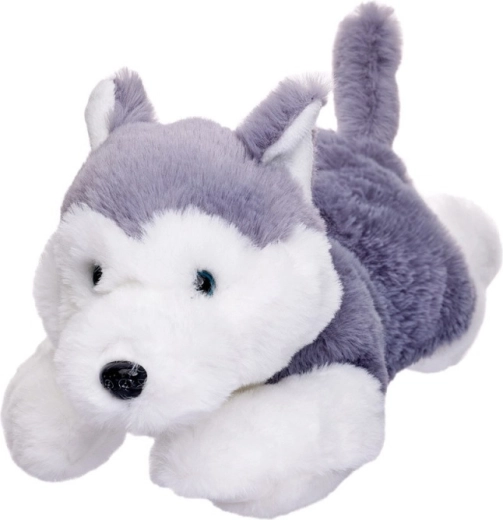 Maskot psa husky leżącego 35 cm