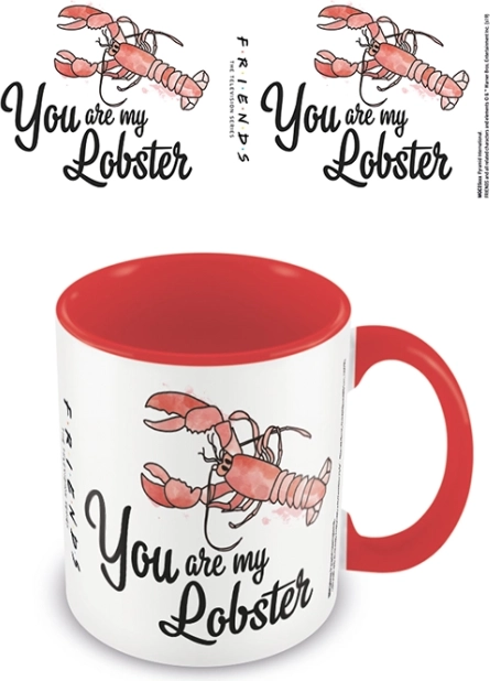 Kolorowy kubek Przyjaciele 'You Are My Lobster'