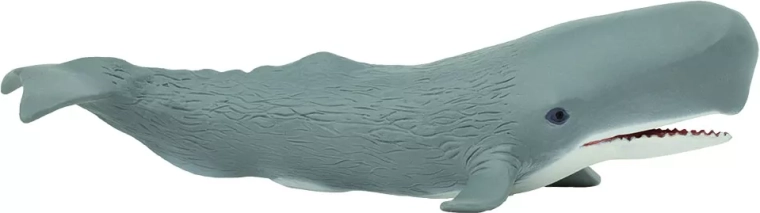 Safari Ltd. kaszalot – 1 szt.