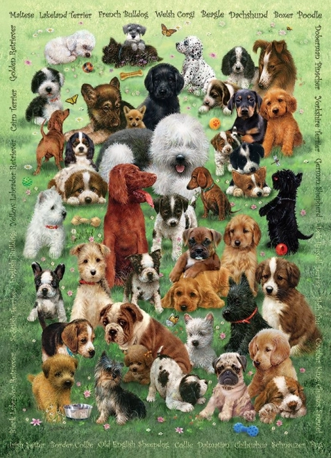 COBBLE HILL rodzinne puzzle szczenięca miłość – 350 elementów
