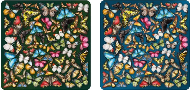 Dwustronne drewniane puzzle Curiosi Double: motyle 165 elementów