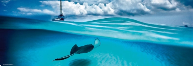 Panoramiczne puzzle Płaszczka – Kajmany 1000 elementów