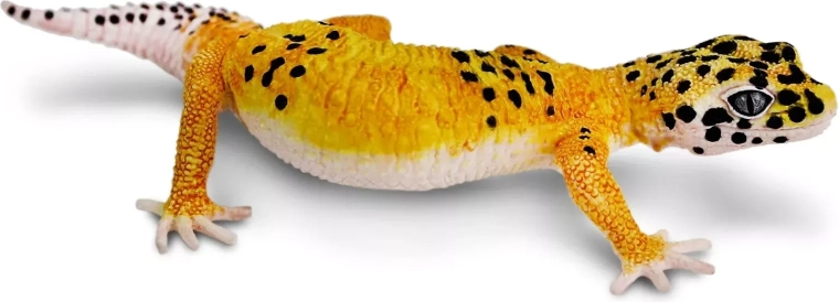 Safari Ltd. figurka gekona lamparciego