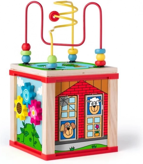 Kostka aktywności mały domek