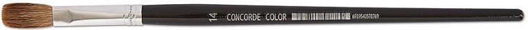 Płaski szkolny pędzel z owczym włosiem nr 14 CONCORDE Color
