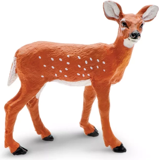 Młody jeleń wirginijski Safari Ltd.